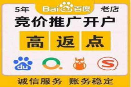 SEM广告案例：数据分析驱动营销决策